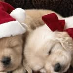 Ria Ramirez - @ramirezria1234 - Instagram