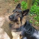 Ria Reede - @riareede - Instagram