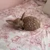 mar☆ - @m.riaruiz - TikTok