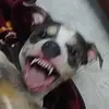 riaruiz52 - @riaruiz52 - TikTok