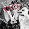 lariasaunders - @lariasaunders - TikTok