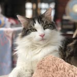 Ryan Barth - @ryan.barth - Instagram