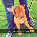 ryan freeman - @freemanryan2023 - Instagram