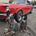 Ric Allen - @rixsix5 - Instagram