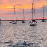 Rick Bishop - @rjbish57 - Instagram