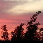 Ricardo Castillo Alvarado - @ric_castillo74 - Instagram