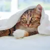 richarrison2 - @rich.arrison - TikTok