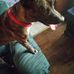 Ric Jones - Facebook