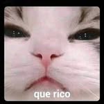 Ric Martínez - @voztumadre - Instagram