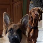 Ric Wilson - @splash1116 - Instagram