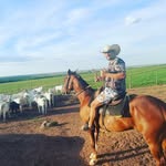 Ricardo Afonso - @ricardo.afonso.5099 - Instagram