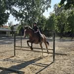 Ricardo Afonso Venâncio - @ric_venancio2205 - Instagram