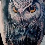 Ricardo Archer - @ricardo.archer.58 - Instagram
