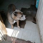 ricardo barron - @barron645 - Instagram