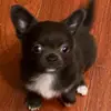 Ricardo Barrón - @ricardo.barron67 - TikTok