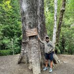 Ricardo Bascone - @ricardobascone - Instagram