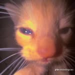 Ricardo Andres Celis Contreras - @ricardo.celisss - Instagram