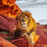 Ricardo Celis - @celis1609 - Instagram