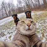 RICARDO COTO - @cotoencaps - Instagram