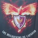Ricardo Gallo - @ricardo.gallo.948 - Instagram