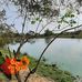 Ricardo Gordon - Facebook
