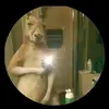 Hector_ricardo - @hector_ricardo - TikTok