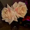 Ricardo Lujan - @apretaditostuyyo - TikTok