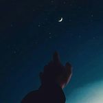 Ricardo Lujan - @ricardolujan.702 - Instagram