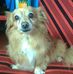 Ricardo Millan - Facebook