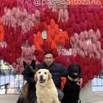 Ricardo Monroy - Facebook
