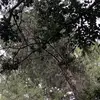 Ricardomoon - @ricardomoon_42069 - TikTok
