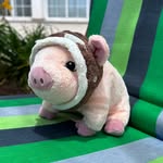 Ricardo Powerschwein - @ricardo.powerschwein - Instagram