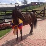 Ricardo Rincon - @rrbolita2 - Instagram