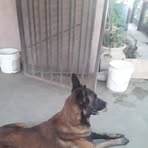 Ricardo Rincon - Facebook