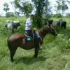 Ricardo Strauss Venegas - @ricardo.strauss.v - TikTok