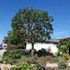 Ricardo Tinoco - @ricardo.tinoco23 - TikTok