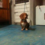 Ricardo Vives - @ricardo_vives_lopez - Instagram