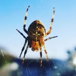 rich barron - @stacks_.999 - Instagram