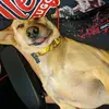 richbean43 - @richbean43 - TikTok