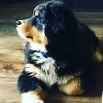 Rich Becker - @richbecker27 - Instagram