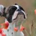Rich Becker - Facebook