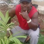 Rich Best - @richbest511 - Instagram