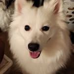 Rich Bonner - @rich.bonner - Instagram