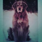 Rich Brewerrs - @richbrewerrs - Instagram