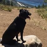 Rich Bryant - @richbryant6676 - Instagram