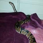 Rich Bryant - @rich.bryant.393 - Instagram