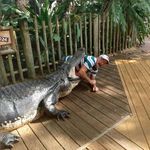 Rick Busch - @rick.busch.9 - Instagram
