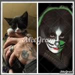 Rich Campbell - @rich_campbell_53 - Instagram