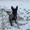 richcollier1002 - @richcollier1002 - TikTok