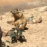 @richcooley247 - Instagram